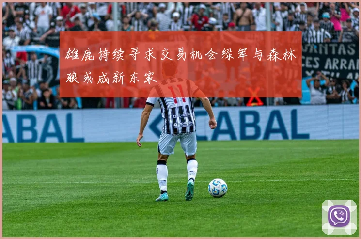 雄鹿持续寻求交易机会绿军与森林狼或成新东家