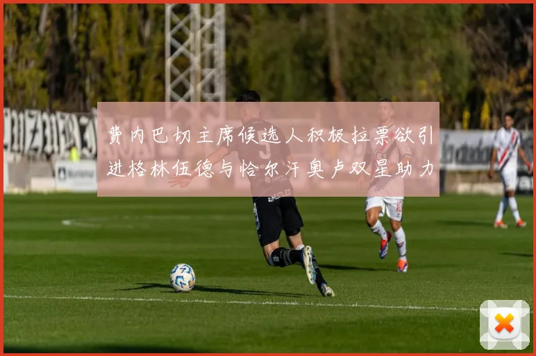 费内巴切主席候选人积极拉票欲引进格林伍德与恰尔汗奥卢双星助力球队