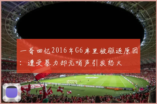 一哥回忆2016年G6库里被驱逐原因：遭受暴力却无哨声引发怒火