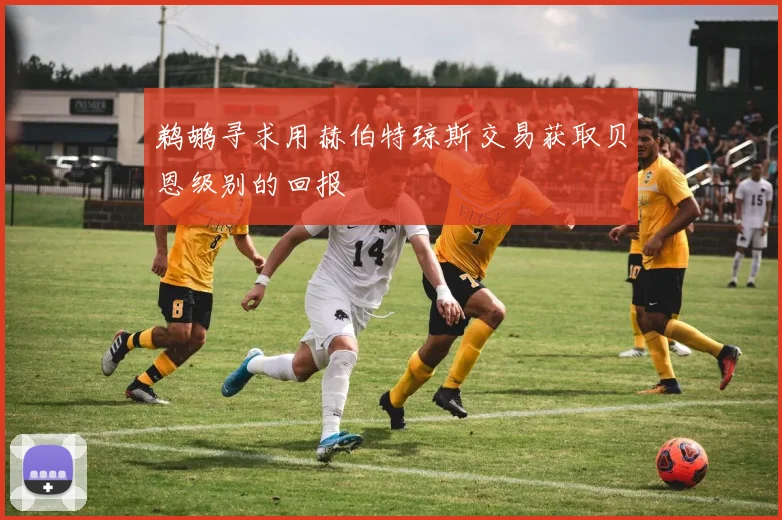 鹈鹕寻求用赫伯特琼斯交易获取贝恩级别的回报