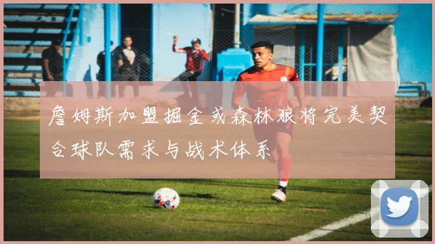 詹姆斯加盟掘金或森林狼将完美契合球队需求与战术体系